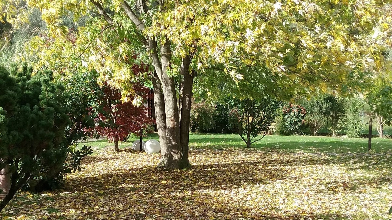 Photo of Outdoor in Arcola