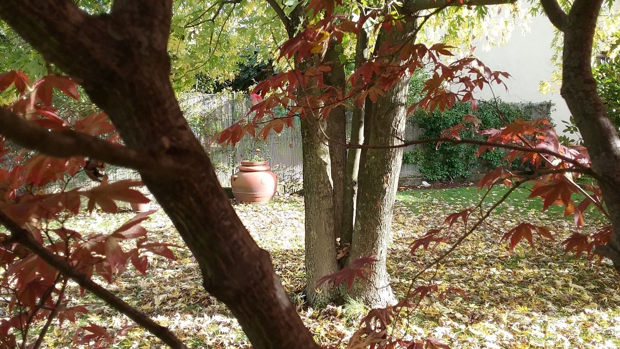 Photo of Outdoor in Arcola