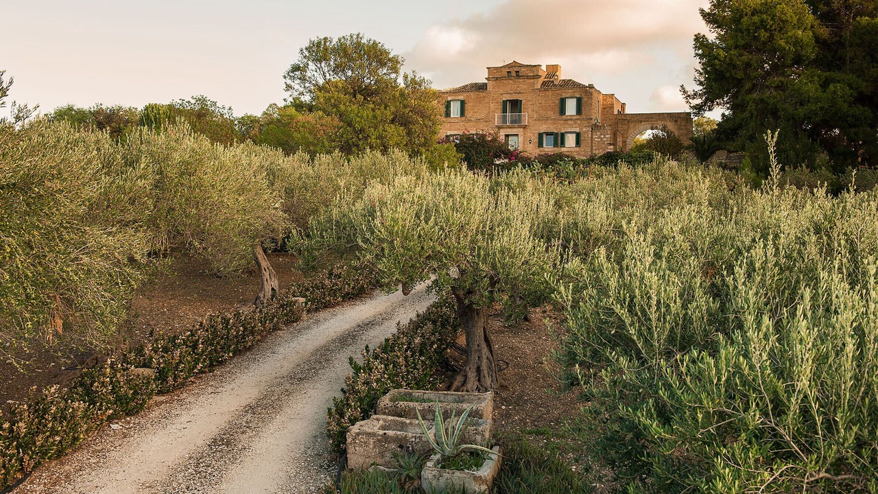 Photo of Outdoor in Paceco