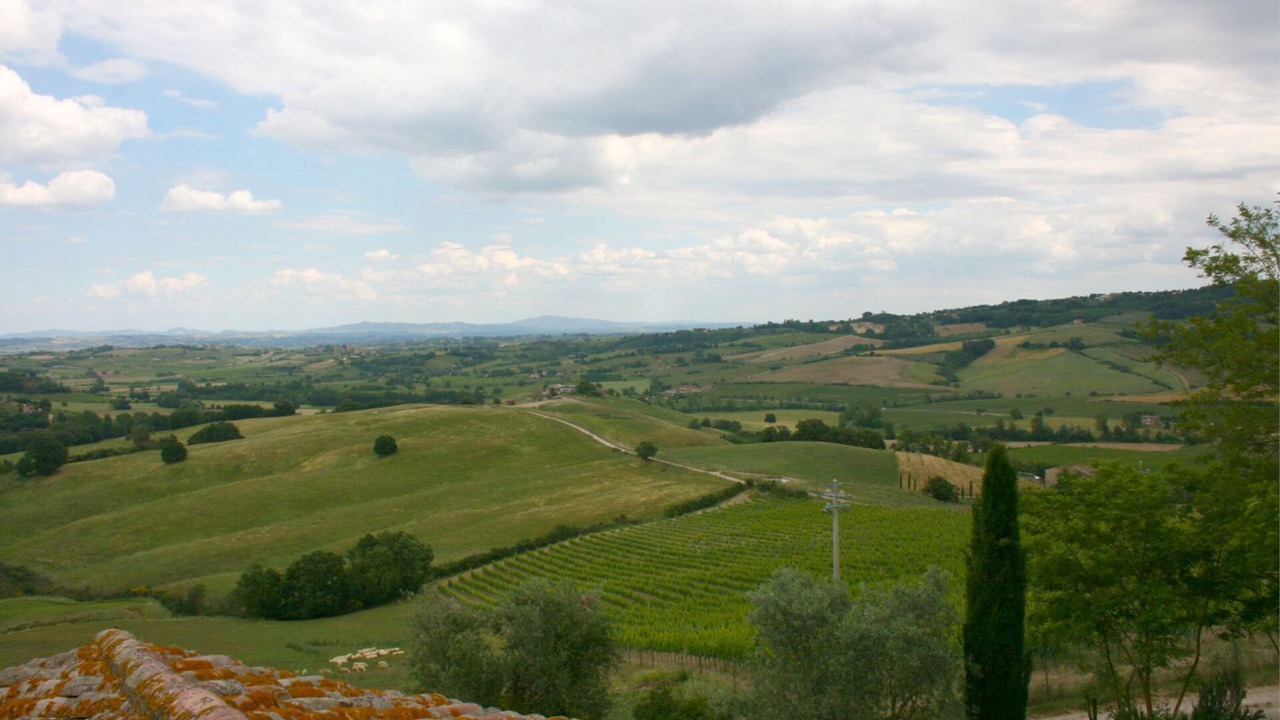 Photo of Others in Montepulciano