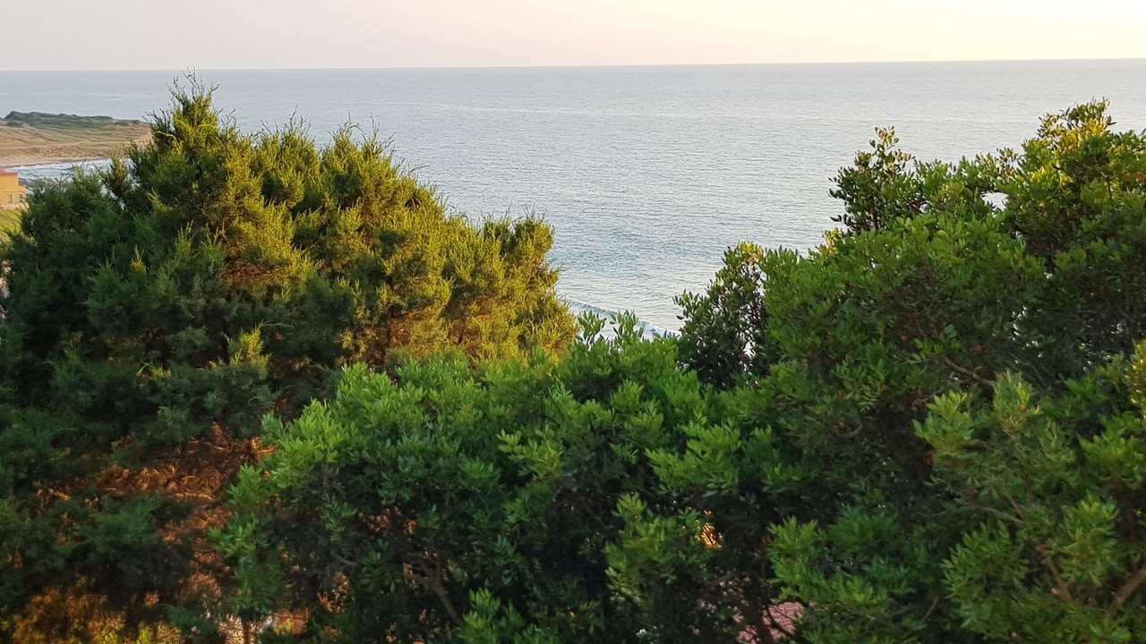Photo of Others in Marina di Gutturu Flumini