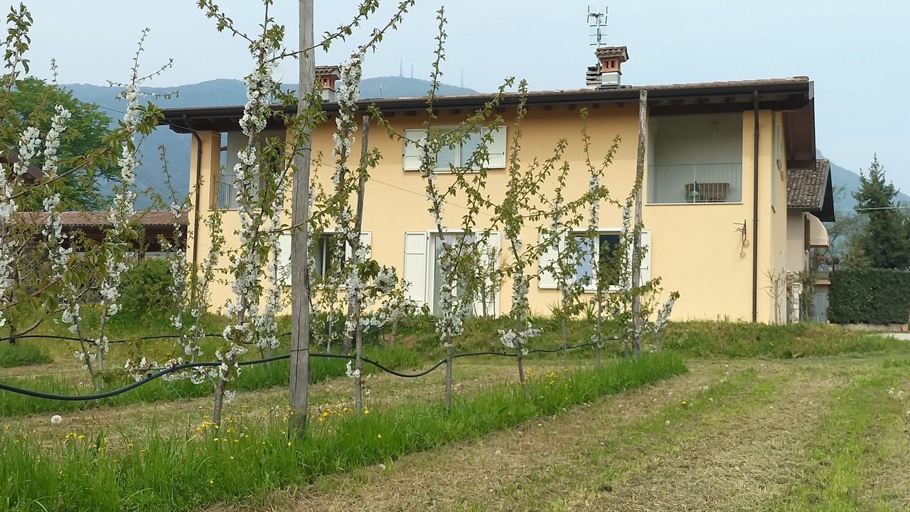 Photo of Outdoor in Villanuova sul Clisi