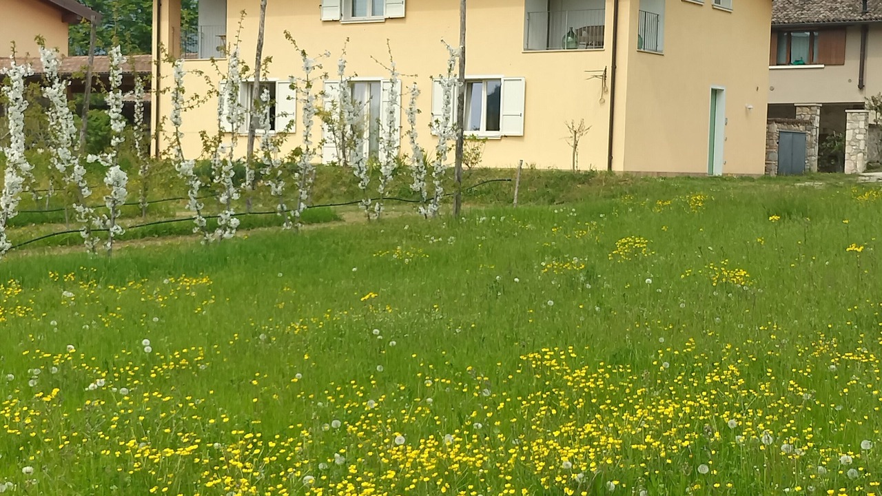 Photo of Outdoor in Villanuova sul Clisi