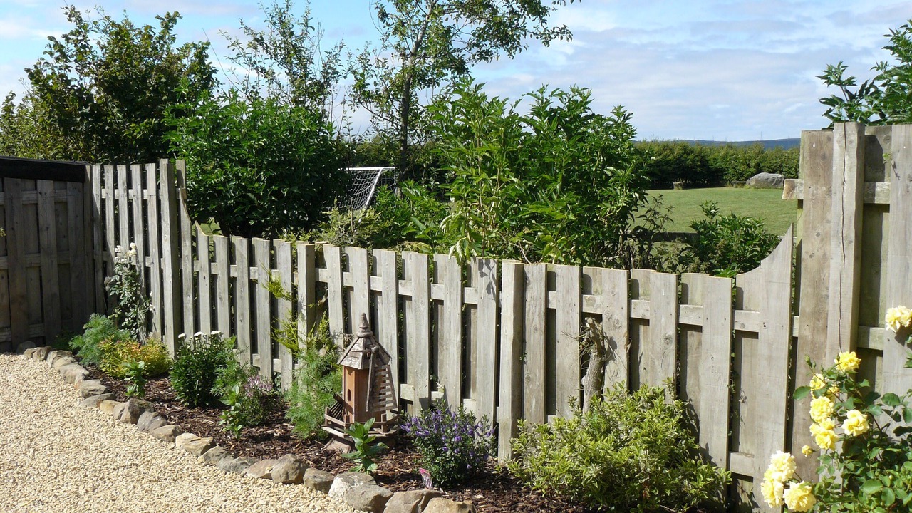 Photo of Outdoor in Morpeth