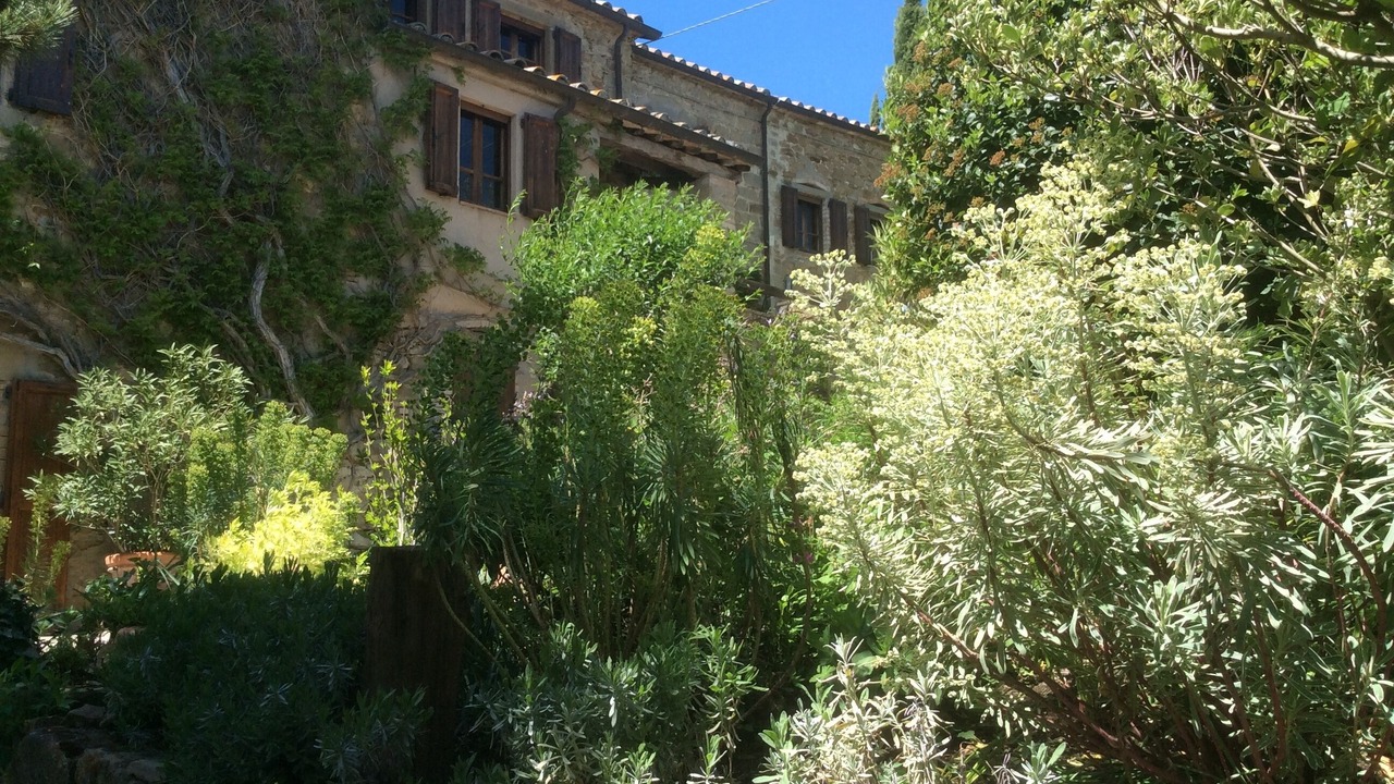 Photo of Outdoor in Bivio Lugnano