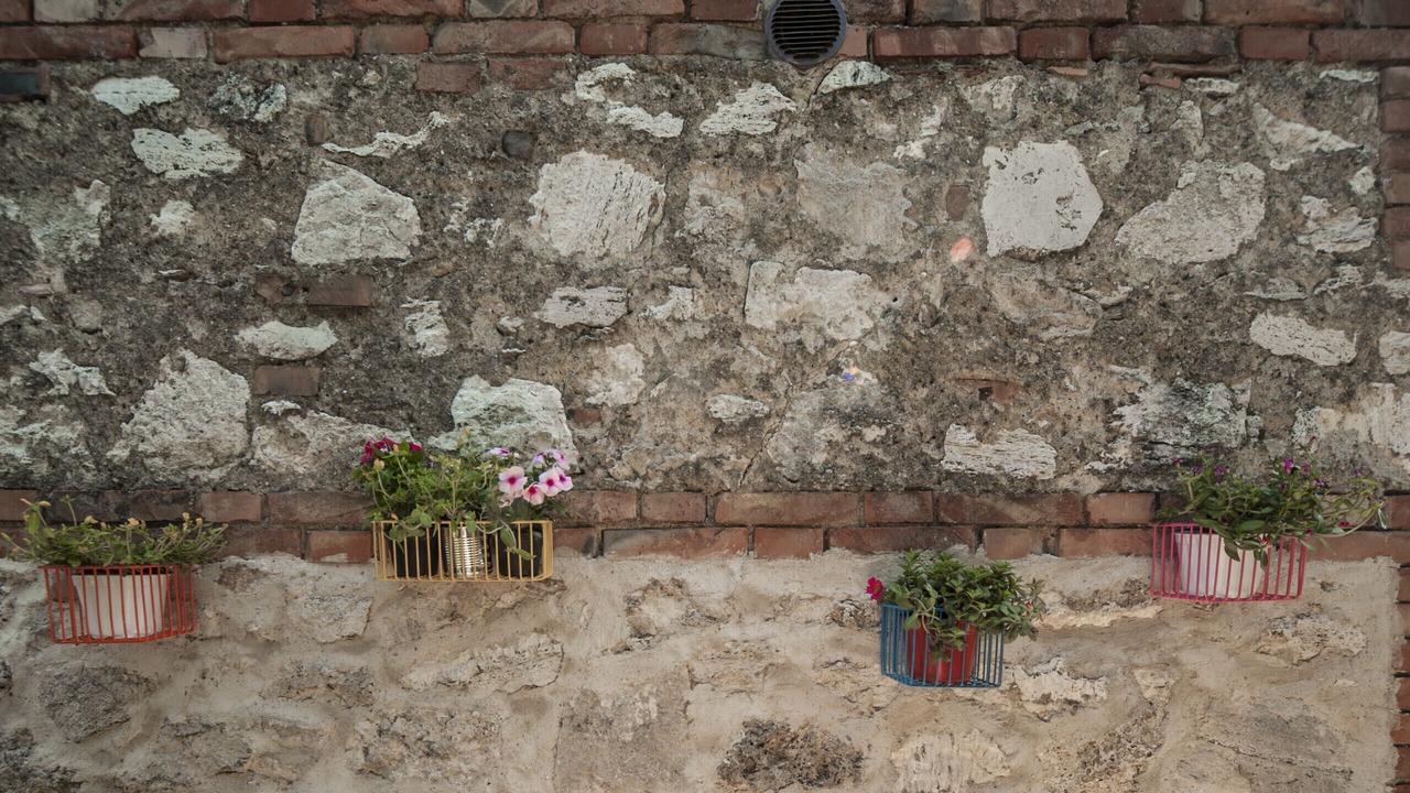 Photo of Others in Bollano
