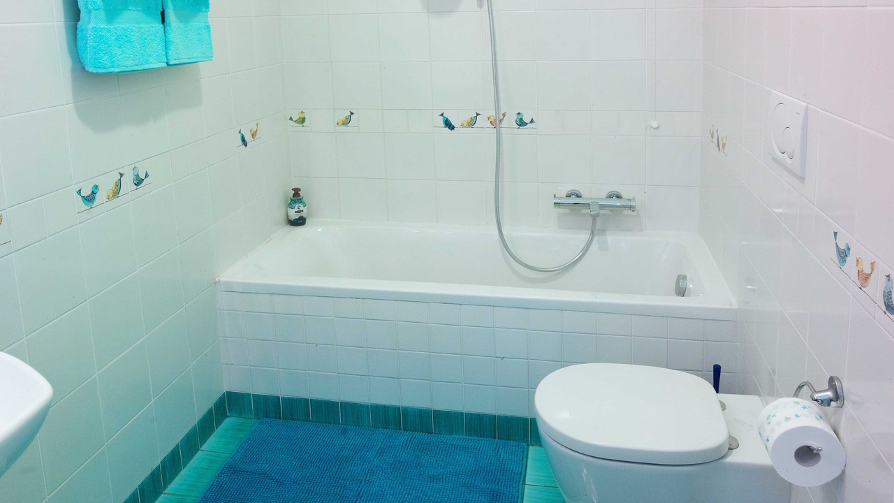 Photo of Bathroom in Fidenae
