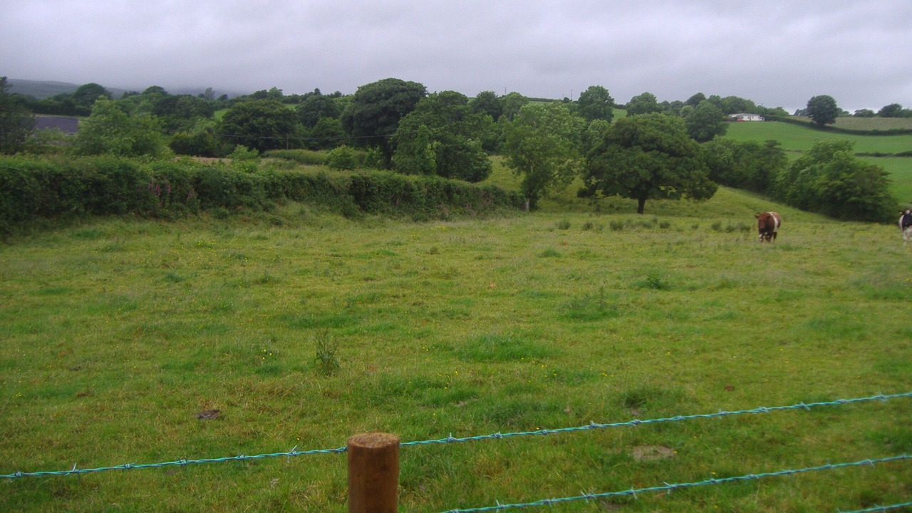 Photo of Others in Magherafelt