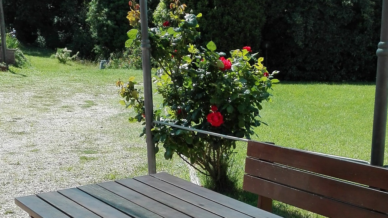 Photo of Outdoor in Citta della Pieve