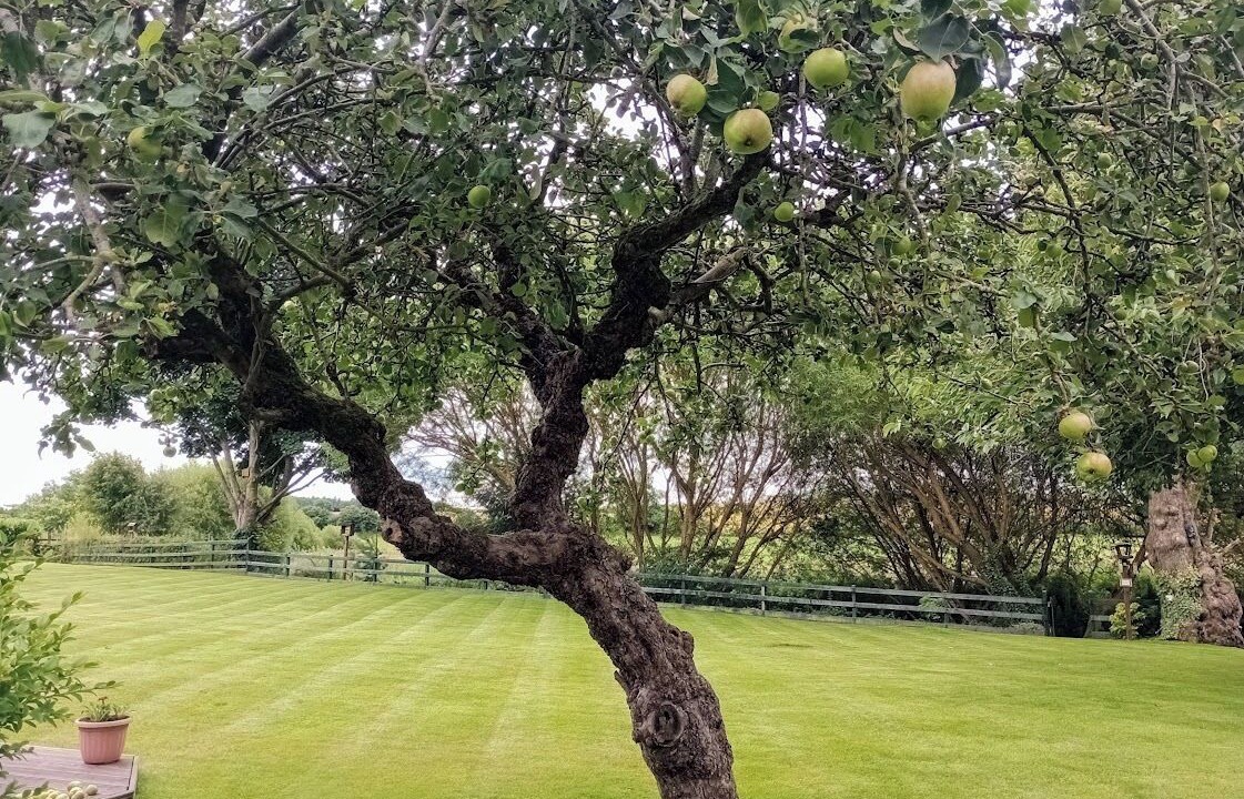 Photo of Outdoor in Kelso
