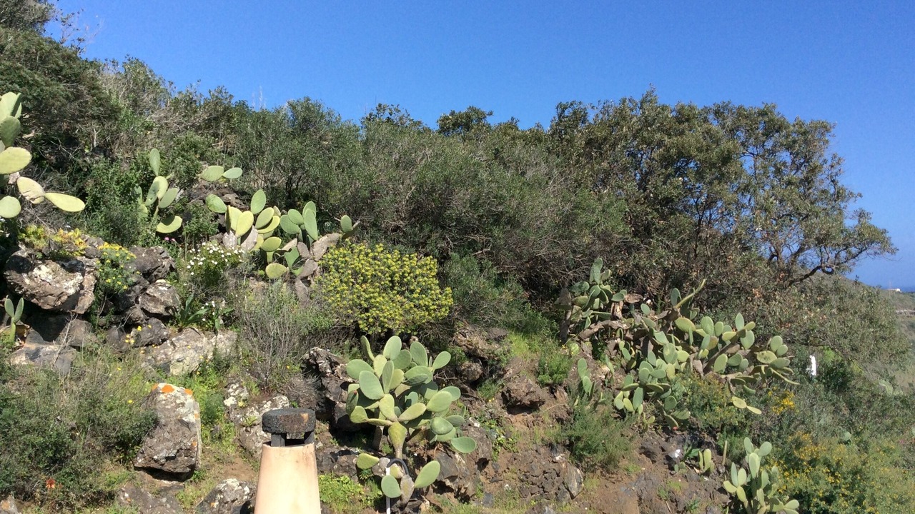 Photo of Outdoor in Pantelleria