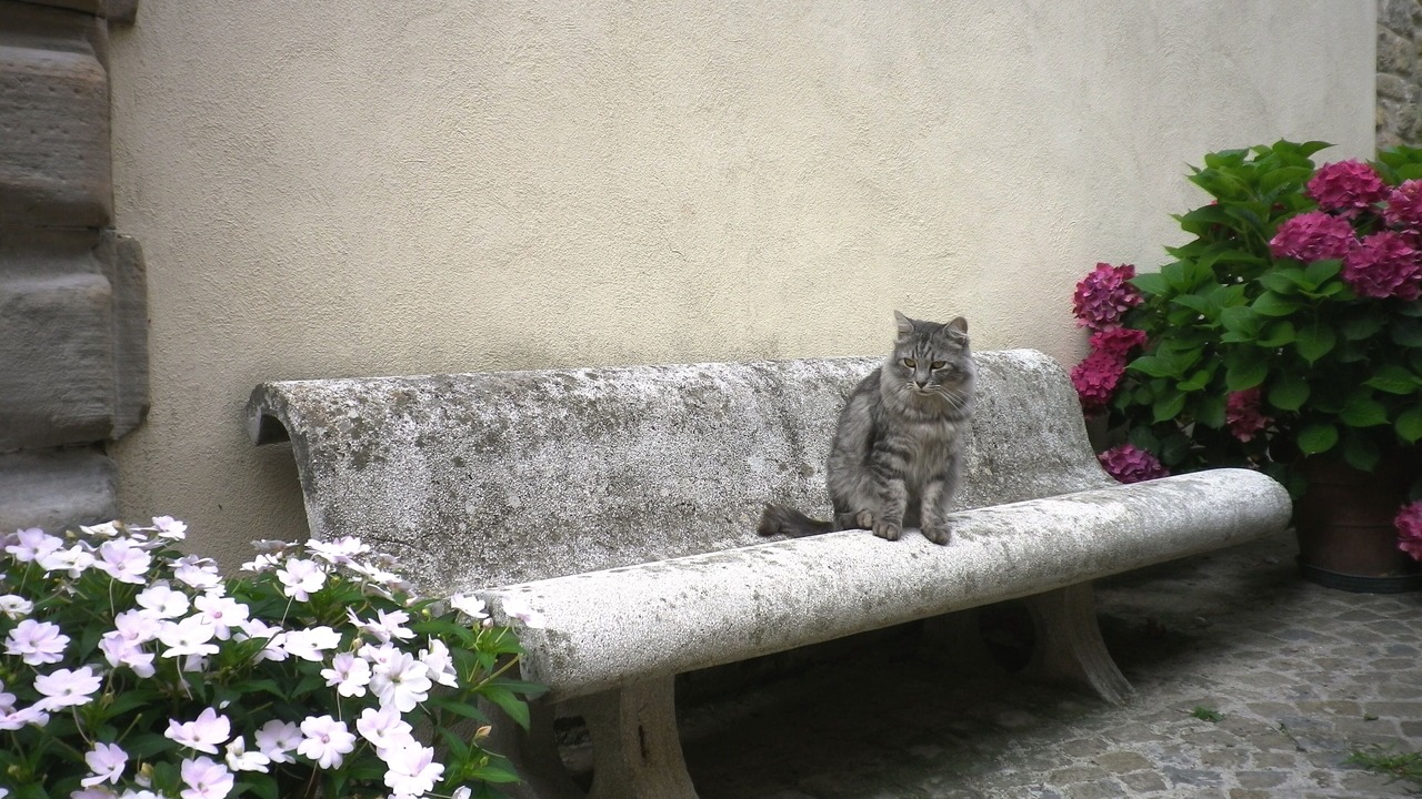 Photo of Outdoor in Monte San Martino