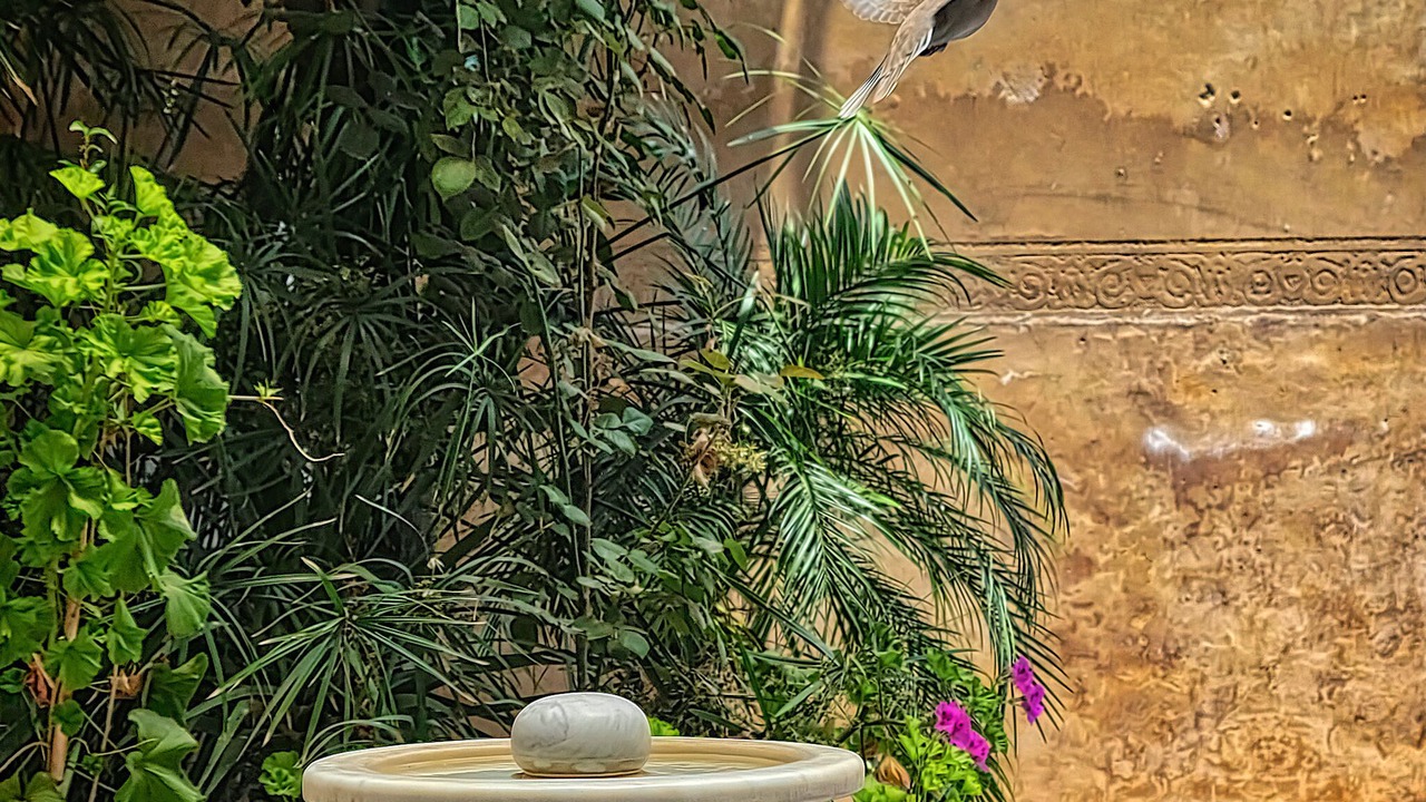 Photo of Outdoor in Ain Azlitan