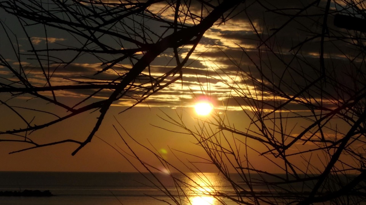 Photo of Outdoor in Lido di Pomposa