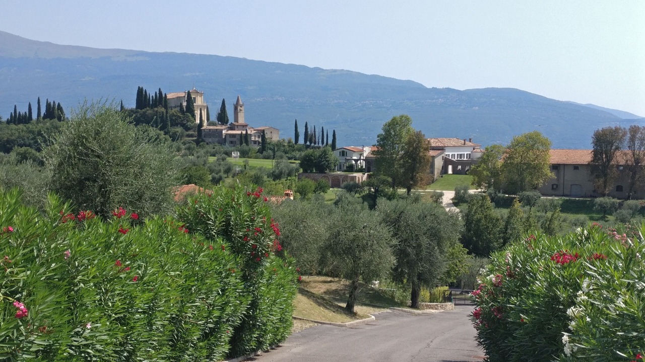 Photo of Others in Gaino