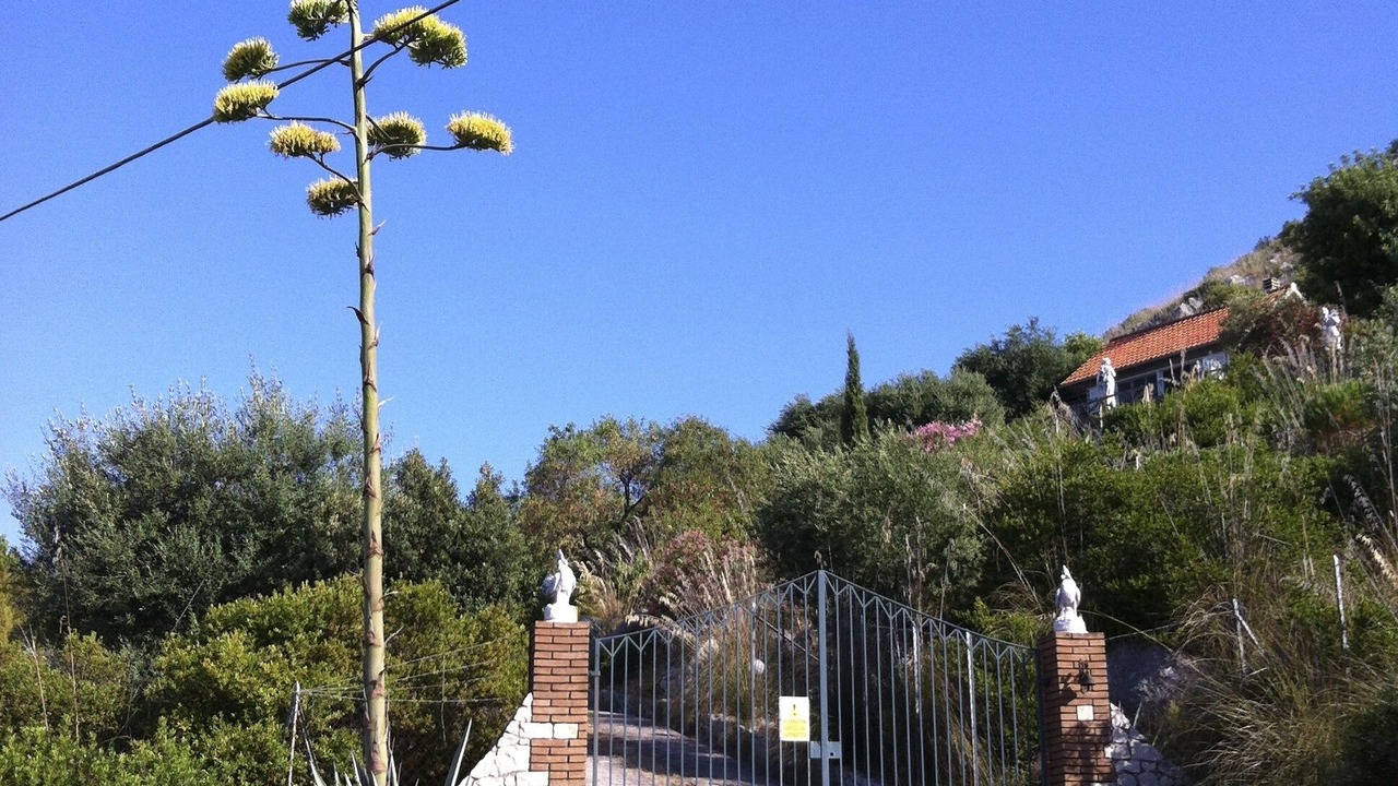 Photo of Others in Terracina