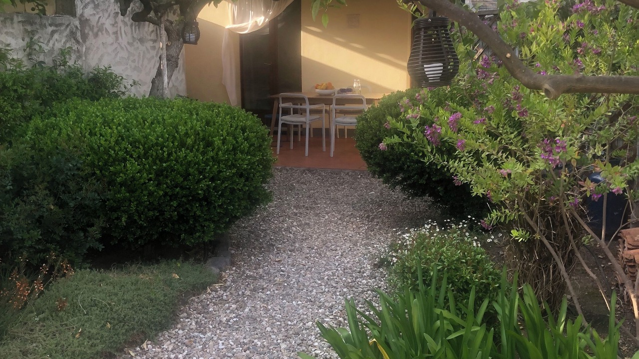Photo of Outdoor in Riola Sardo