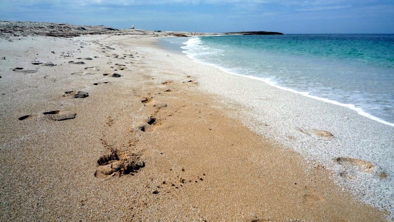 Photo of Others in Riola Sardo