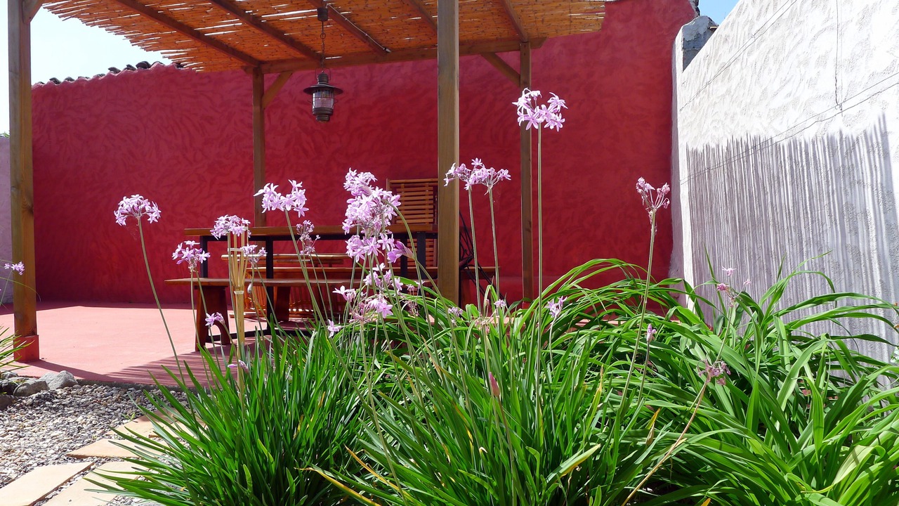 Photo of Outdoor in Riola Sardo