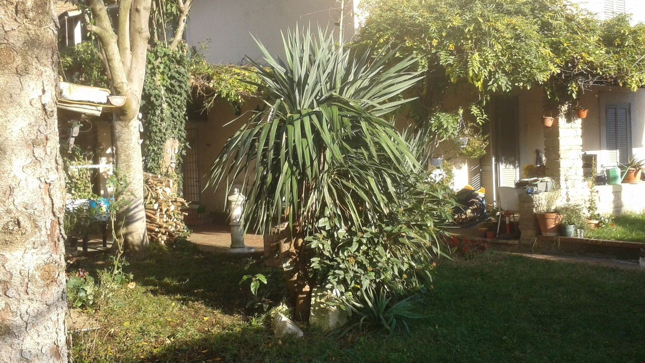 Photo of Outdoor in Monte Caminetto