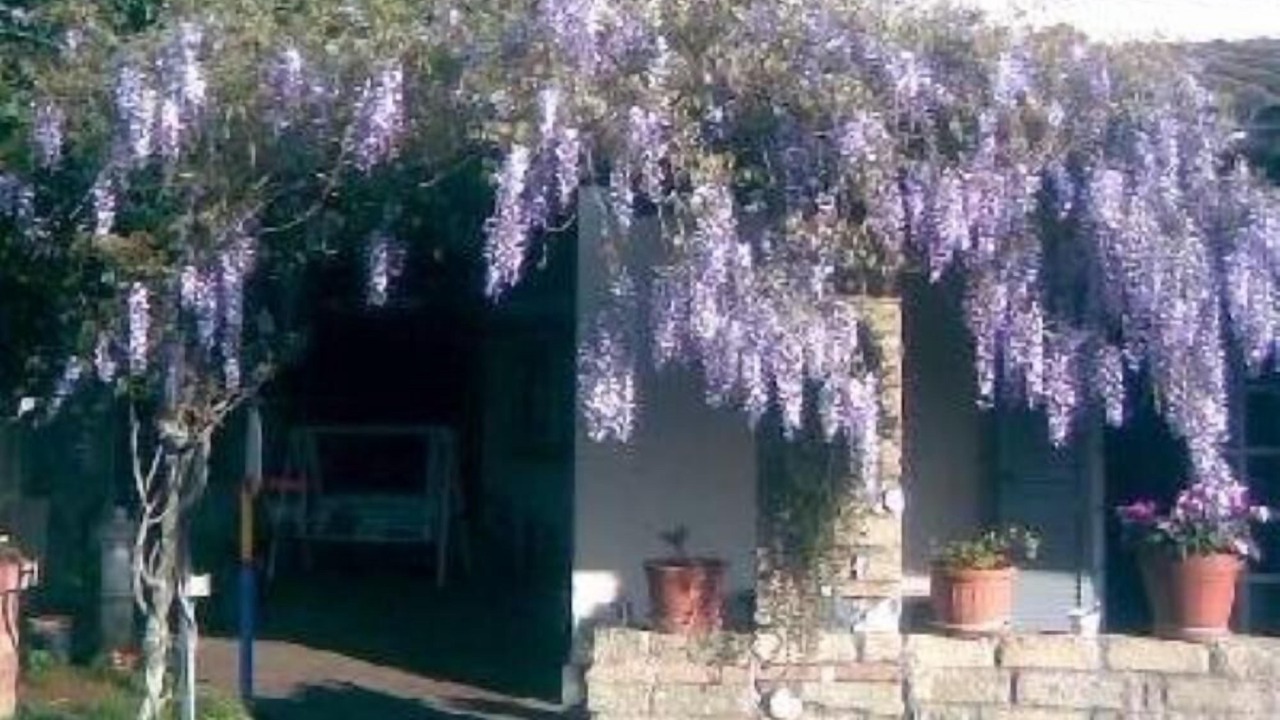 Photo of Outdoor in Monte Caminetto