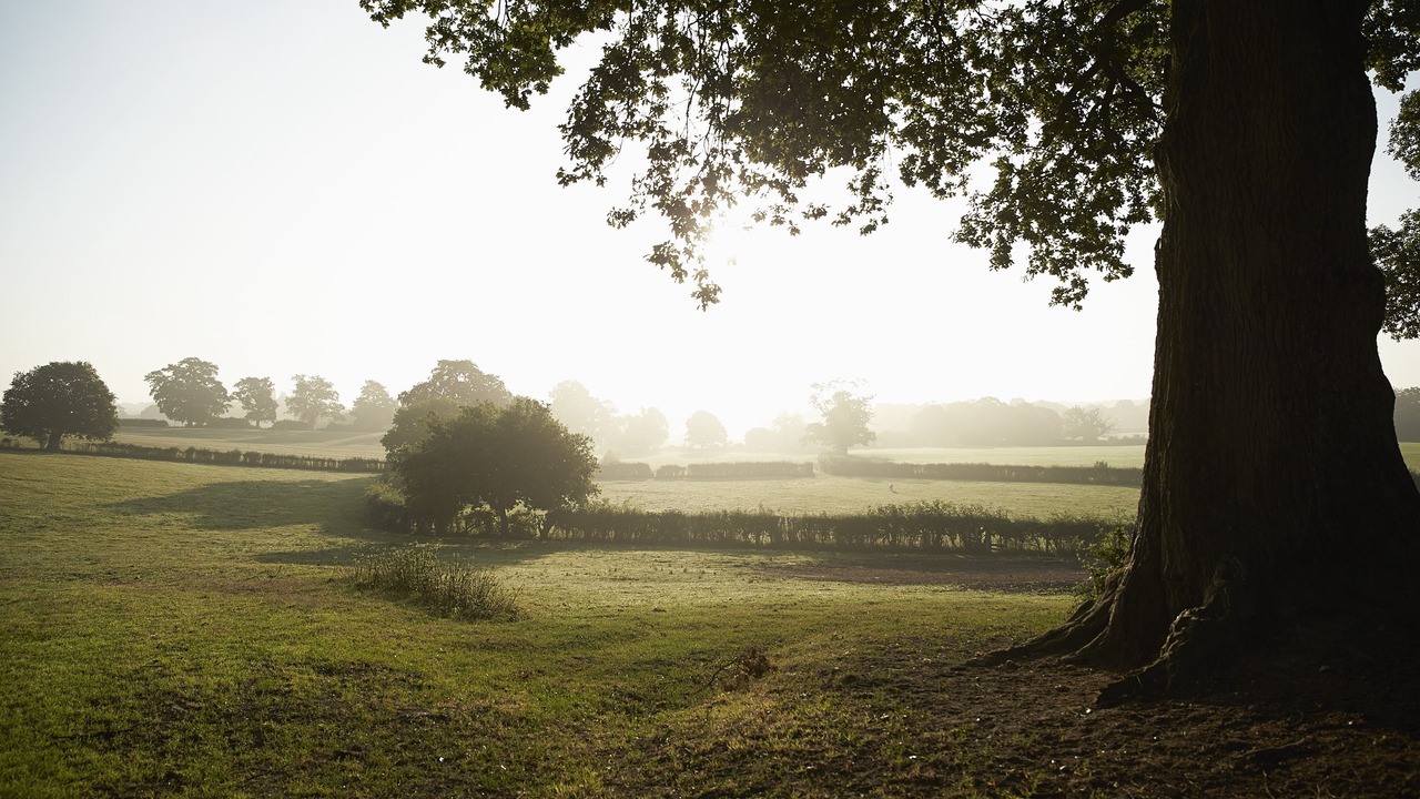 Photo of Others in Shipton under Wychwood