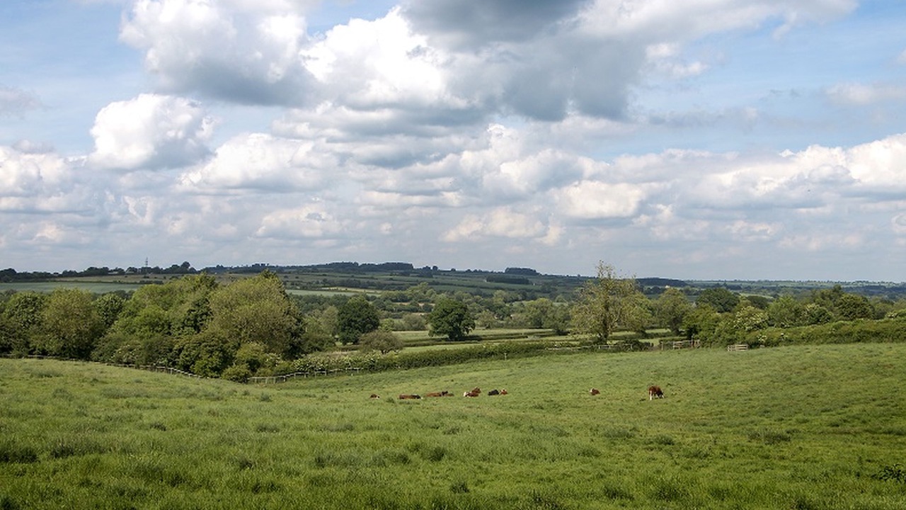 Photo of Others in Shipton under Wychwood