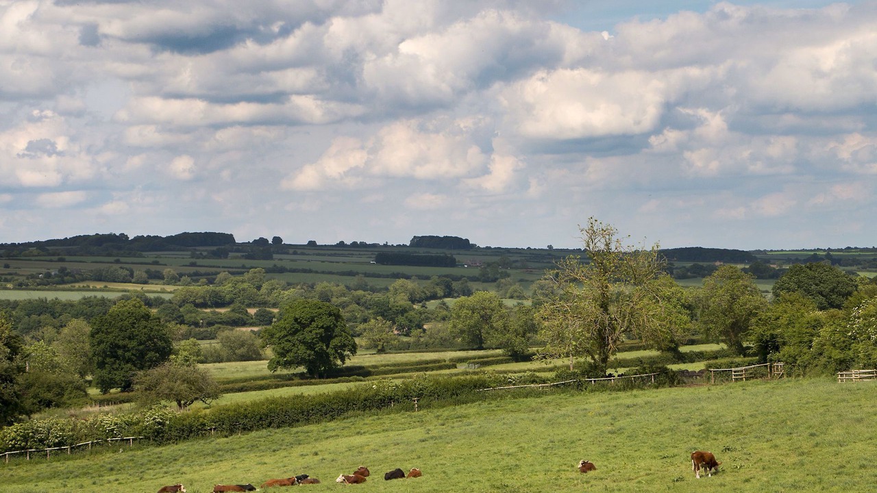 Photo of Others in Shipton under Wychwood