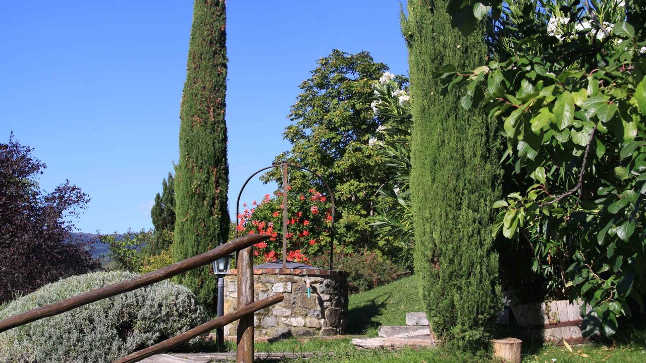 Photo of Outdoor in Starda