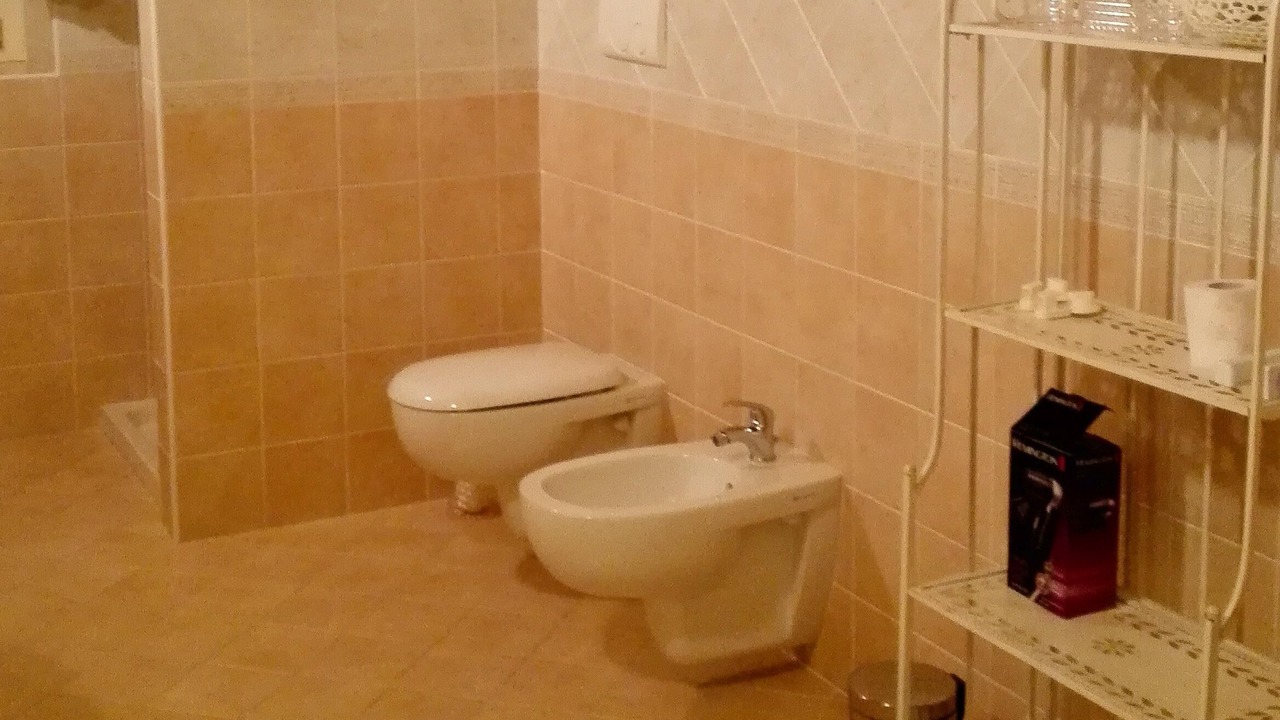 Photo of Bathroom in Guidizzolo