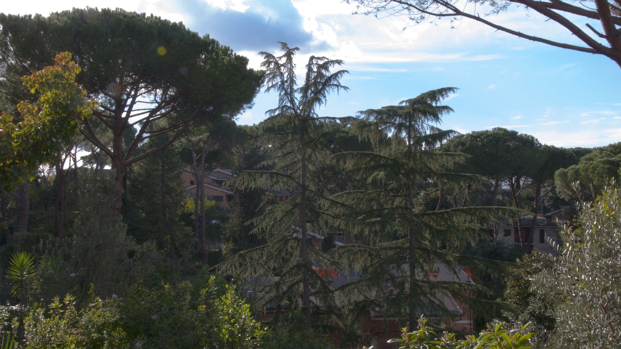 Photo of Outdoor in Zona III Marcigliana