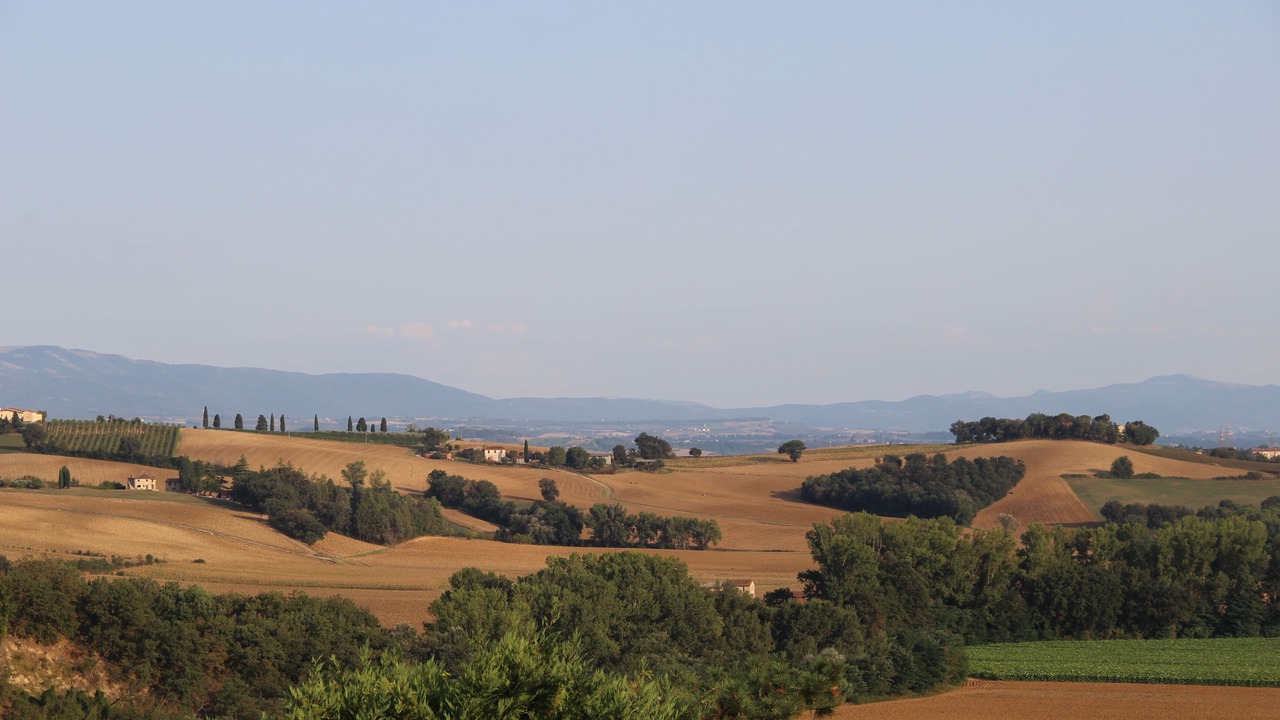 Photo of Others in Marsciano