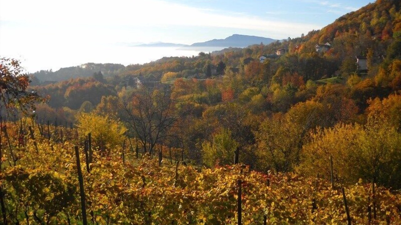 Photo of Outdoor in San Secondo di Pinerolo