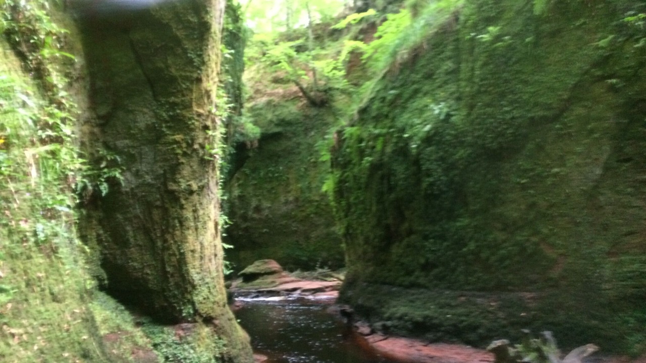 Photo of Outdoor in Fintry