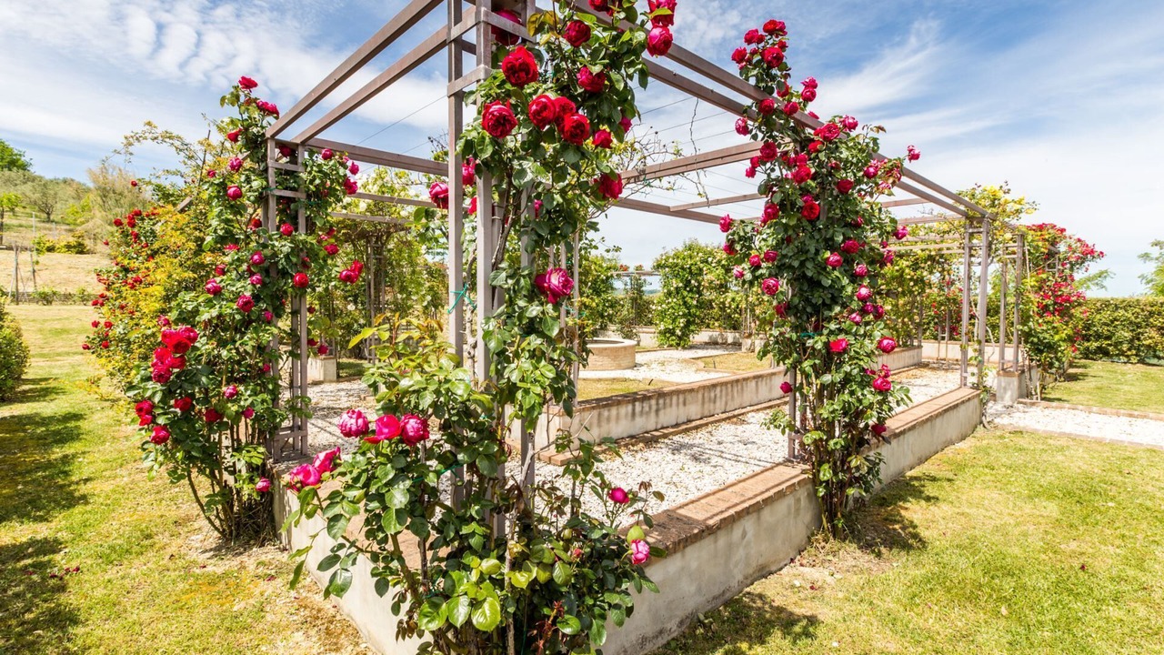 Photo of Outdoor in Montalto delle Marche