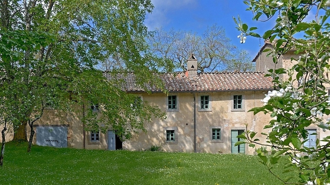 Photo of Others in Vivo dʼOrcia