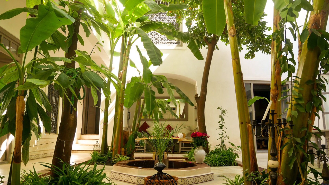Photo of Outdoor in Medina