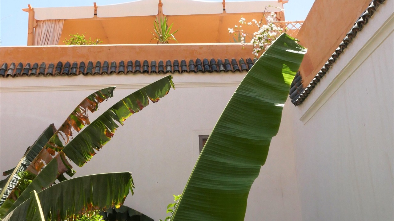 Photo of Outdoor in Medina