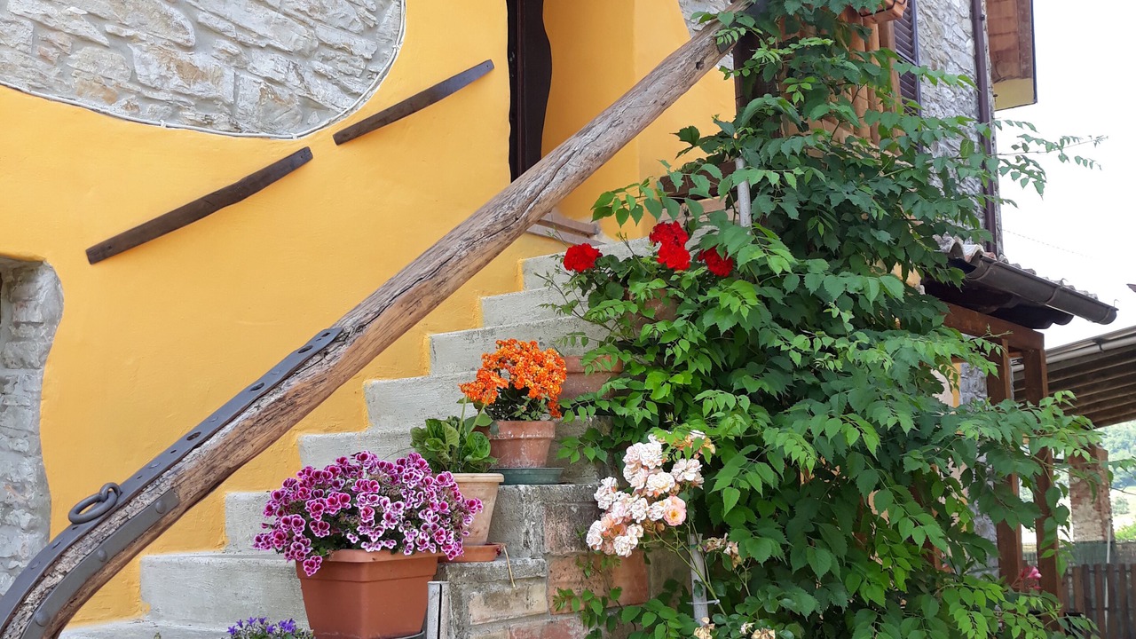 Photo of Outdoor in Bassano Sotto