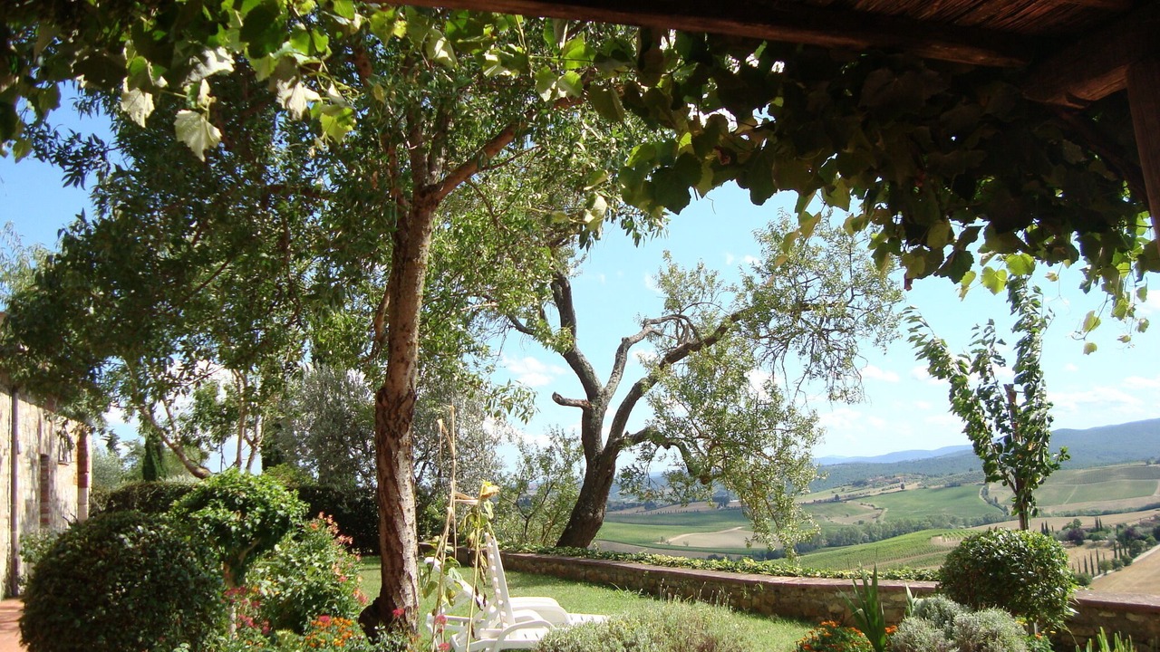 Photo of Outdoor in Castellina in Chianti