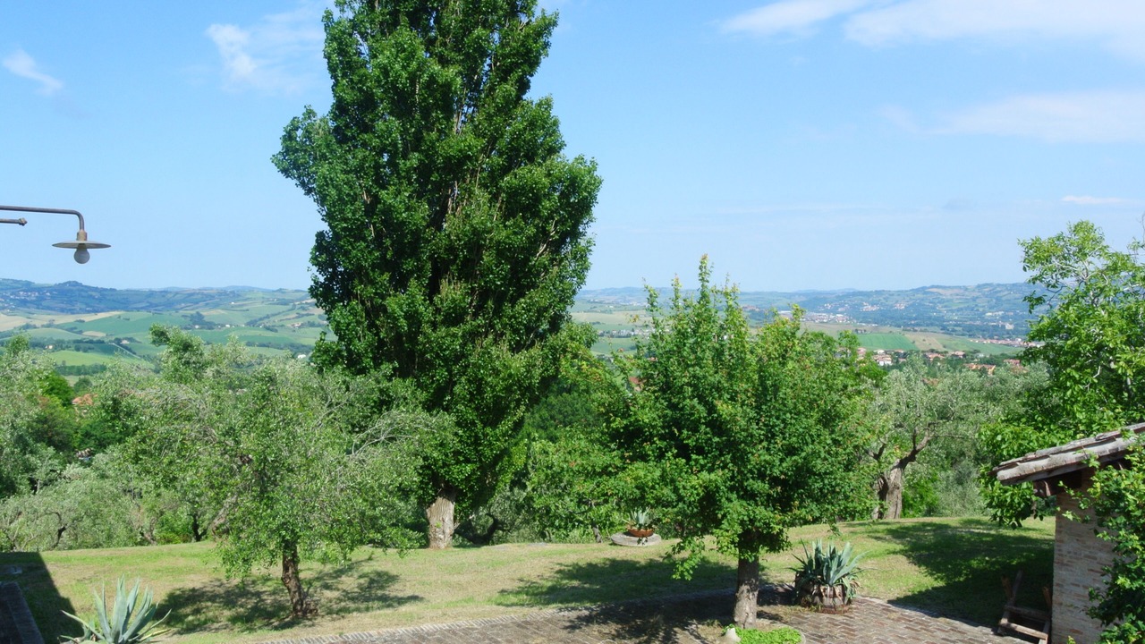 Photo of Outdoor in Saludecio