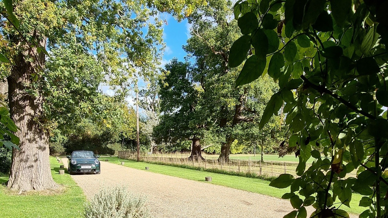 Photo of Others in Windsor