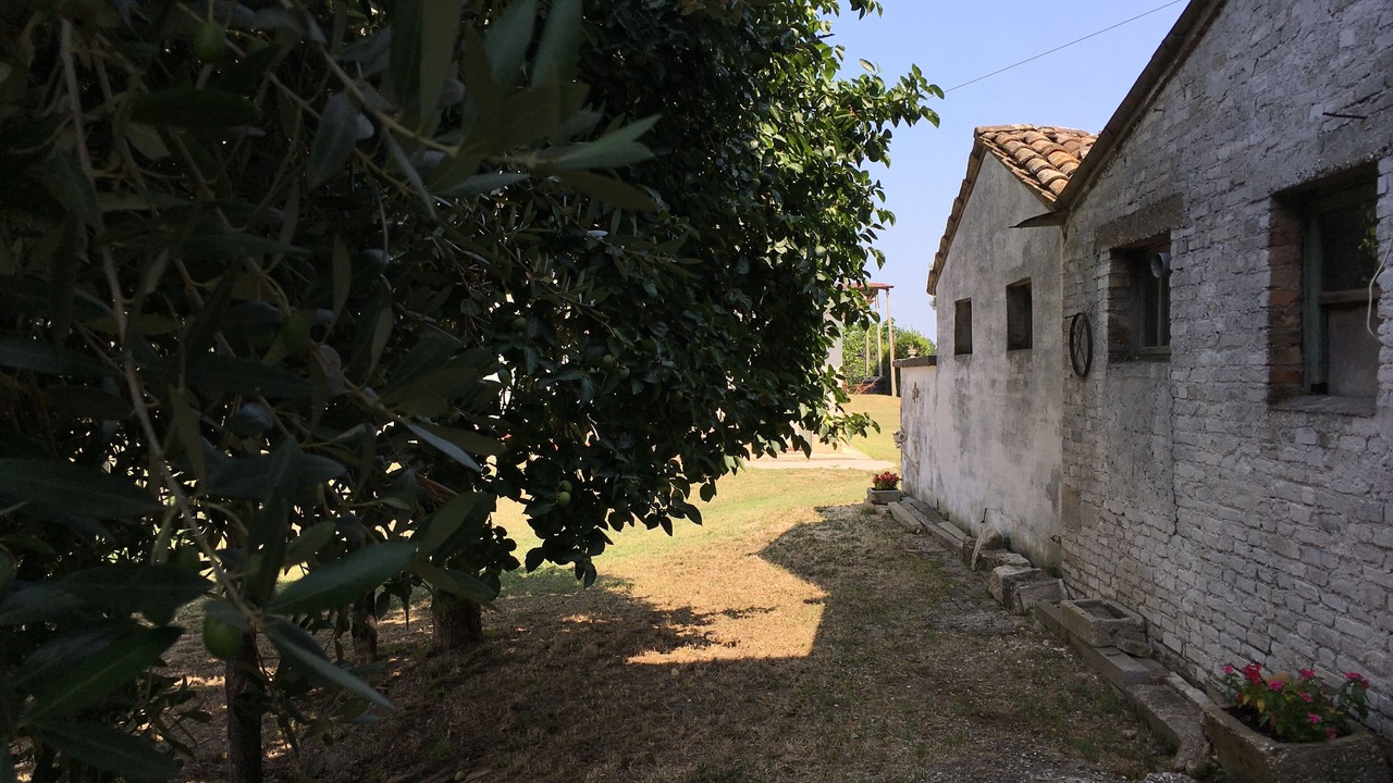 Photo of Outdoor in Monterubbiano