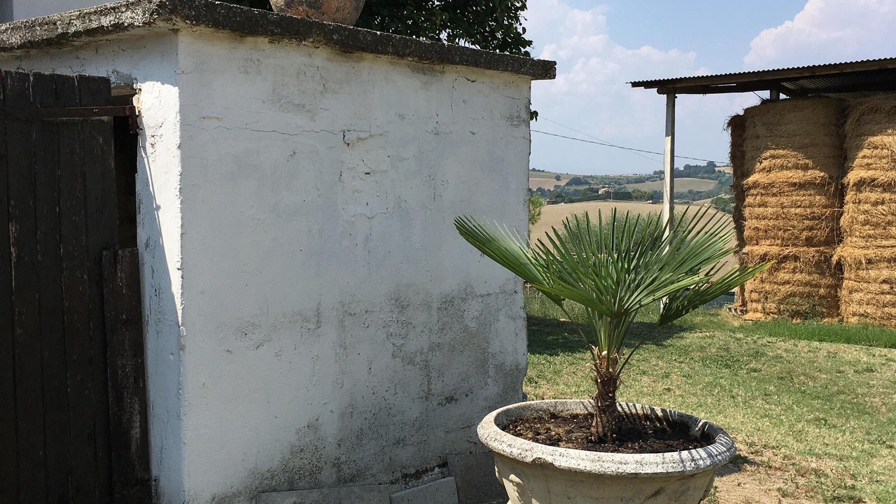 Photo of Outdoor in Monterubbiano