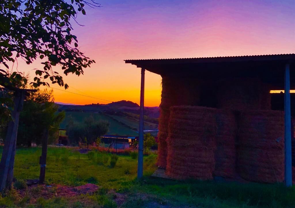 Photo of Outdoor in Monterubbiano