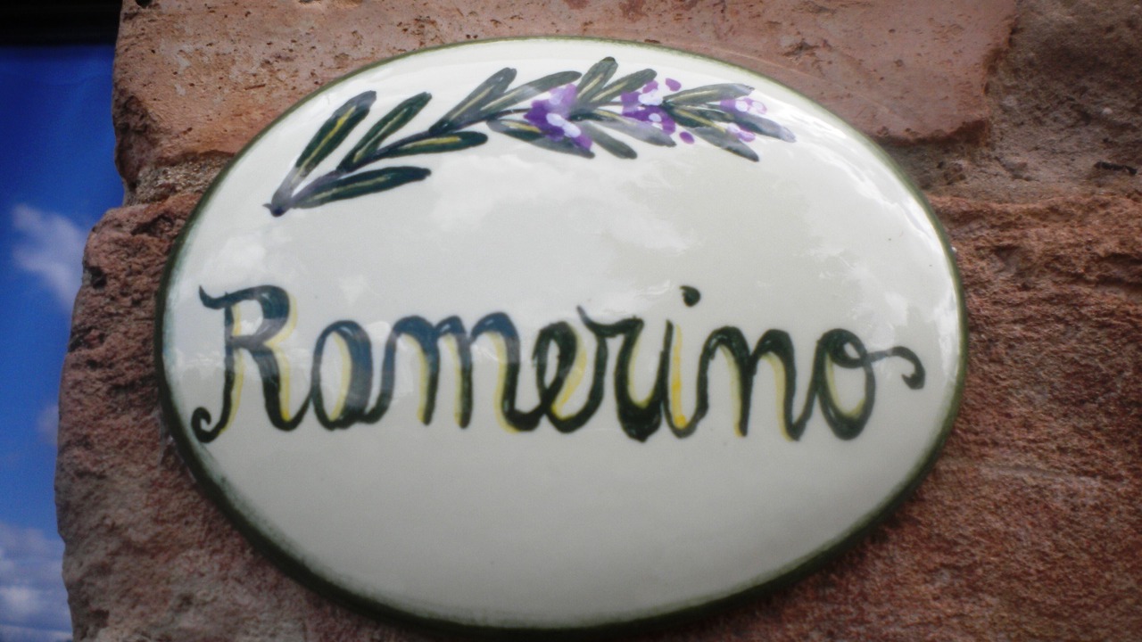 Photo of Outdoor in Gambassi Terme