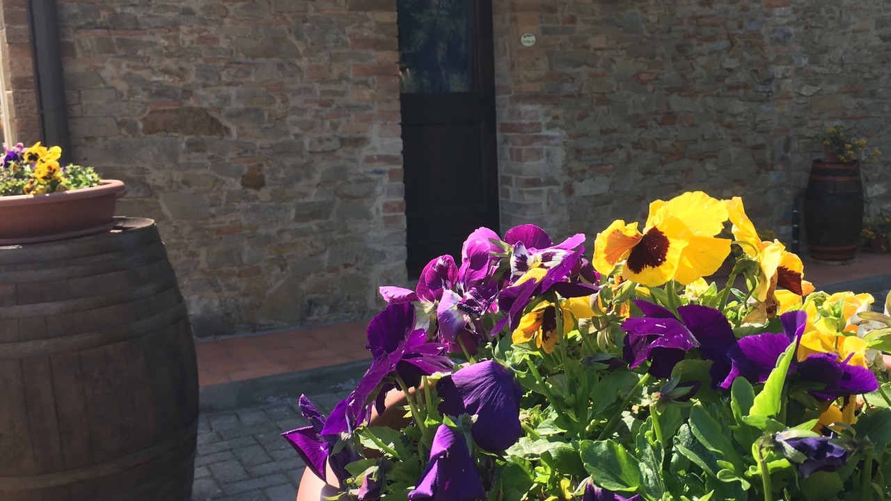 Photo of Outdoor in Gambassi Terme