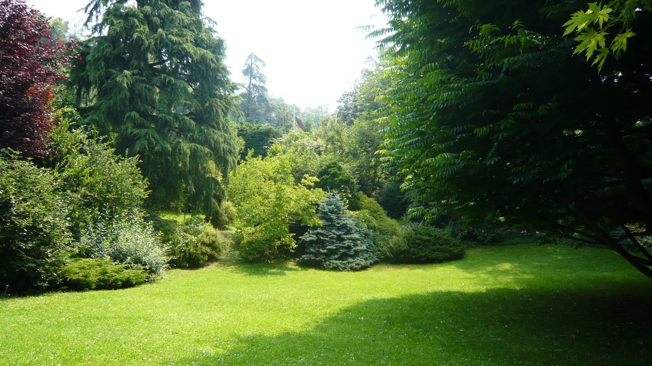 Photo of Outdoor in Cavoretto