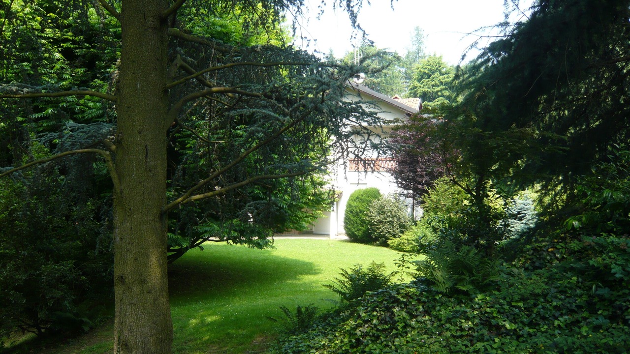Photo of Outdoor in Cavoretto