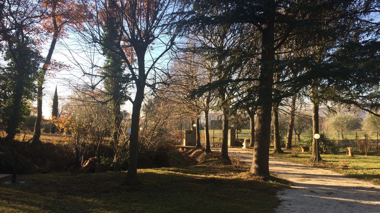 Photo of Outdoor in Tuoro sul Trasimeno